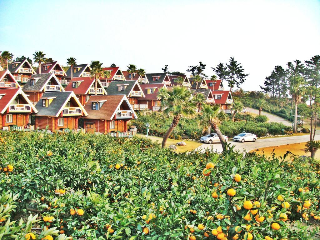 Jungmun Log Pension&Resort Seogwipo Exterior foto