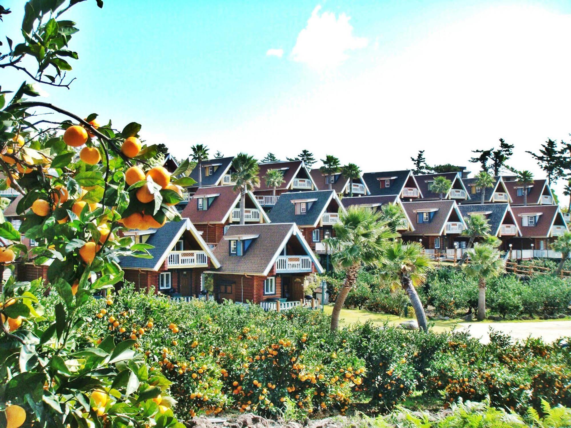 Jungmun Log Pension&Resort Seogwipo Exterior foto